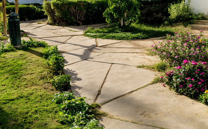 garden